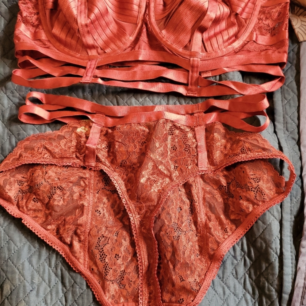 Torrid sexy bra panties